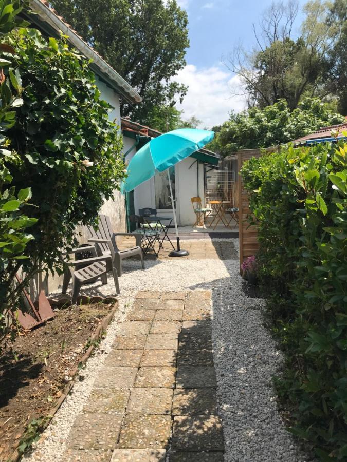Appartement Entre Ocean Et Montagne 15Bis Avenue De Montbrun Anglet Exteriér fotografie